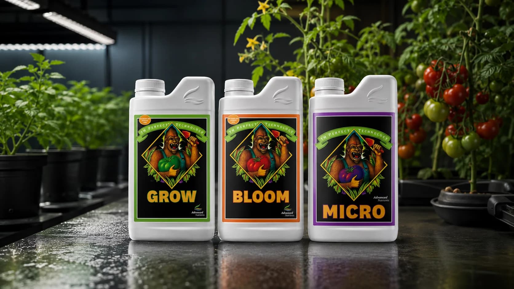 Advanced Nutrients pH Perfect Grow Micro Bloom Nedir? 3’lü Bitki Besini Kullanım Rehberi