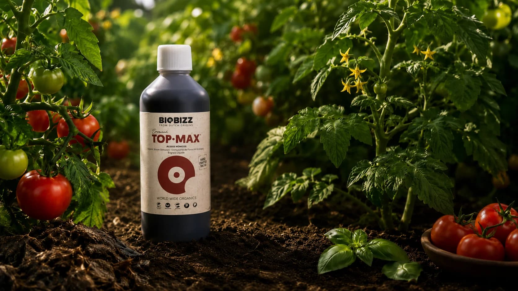 Biobizz Top Max Nedir? Ne İşe Yarar, Nasıl Kullanılır?